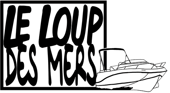 logo-loupdesmers